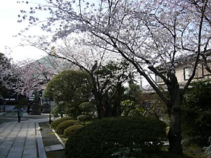 花見鎌倉2006