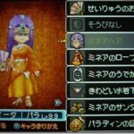 ミネア装備をそろえたよ：『ドラゴンクエストIX』