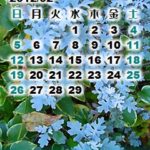 如月の植物カレンダー壁紙2012年2月