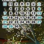 夜桜満開：カレンダー壁紙2013年4月