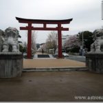 リニューアルした鎌倉段葛の桜を早朝花見