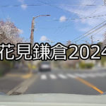 花見鎌倉2024