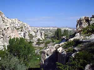 �M��������O������