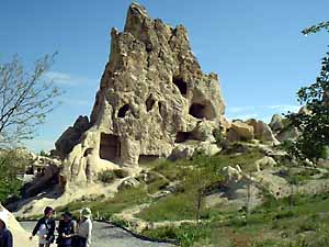 �M��������O������