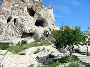 �M��������O������