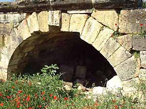 �q�G���|���X