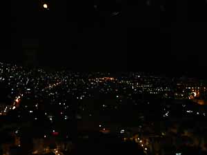 �C�Y�~�[���̖�i