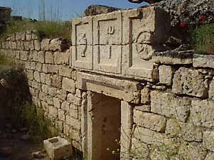 �l�N���|���X