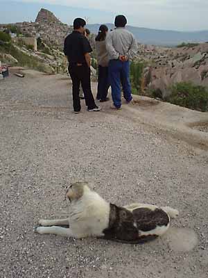 �g���R�̌��L