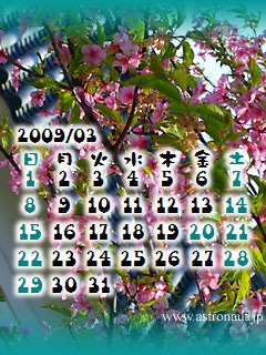 200903calb