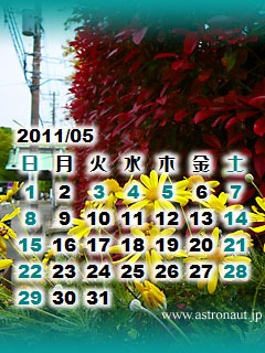 201105cala