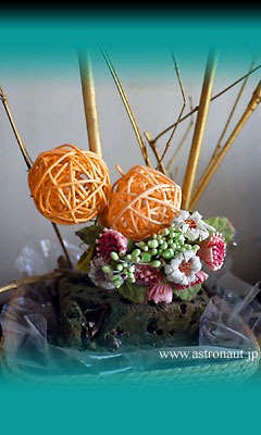 201211cala2
