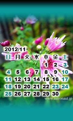 201211calb