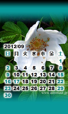 201209cala