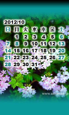201210calb