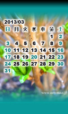 201303calb