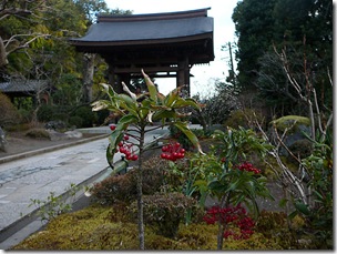 P1070813