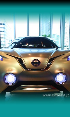201310cala2