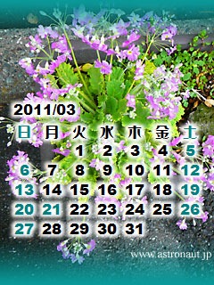 201103cala