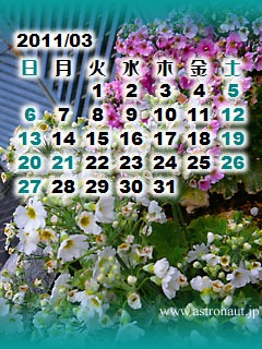 201103calb